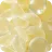 C5 - YH 1288s (Henghe)